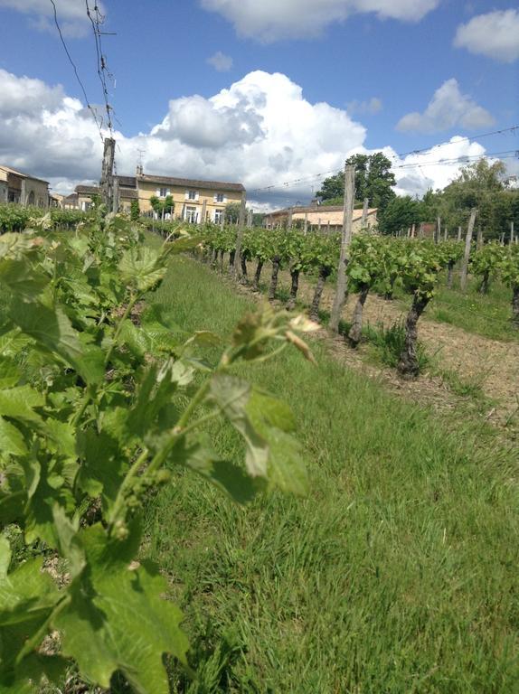 Chateau Nardou Ξενοδοχείο Saint-Sulpice-et-Cameyrac Εξωτερικό φωτογραφία